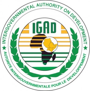 IGAD: A Regional Organization or a Forum Run by Ethiopia?