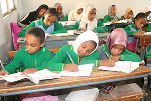 Promoting Literacy: Eritrea’s Farsighted Vision